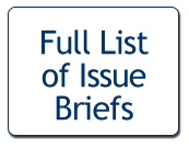 All Issue Briefs